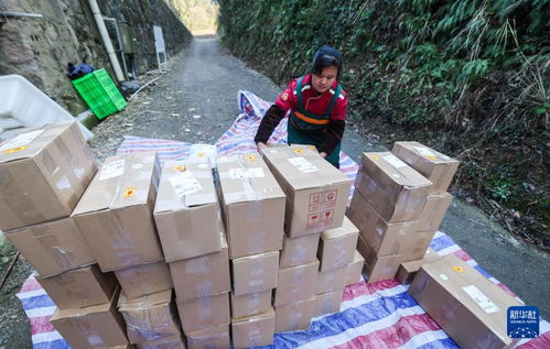 浙江淳安 傳統農產品走俏年貨市場，山珍好味帶動農副產品銷售熱潮